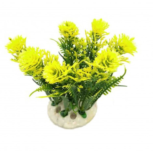 ΔΙΑΚΟΣΜΗΤΙΚΟ ΦΥΤΟ ΕΝΥΔΡΕΙΟΥ